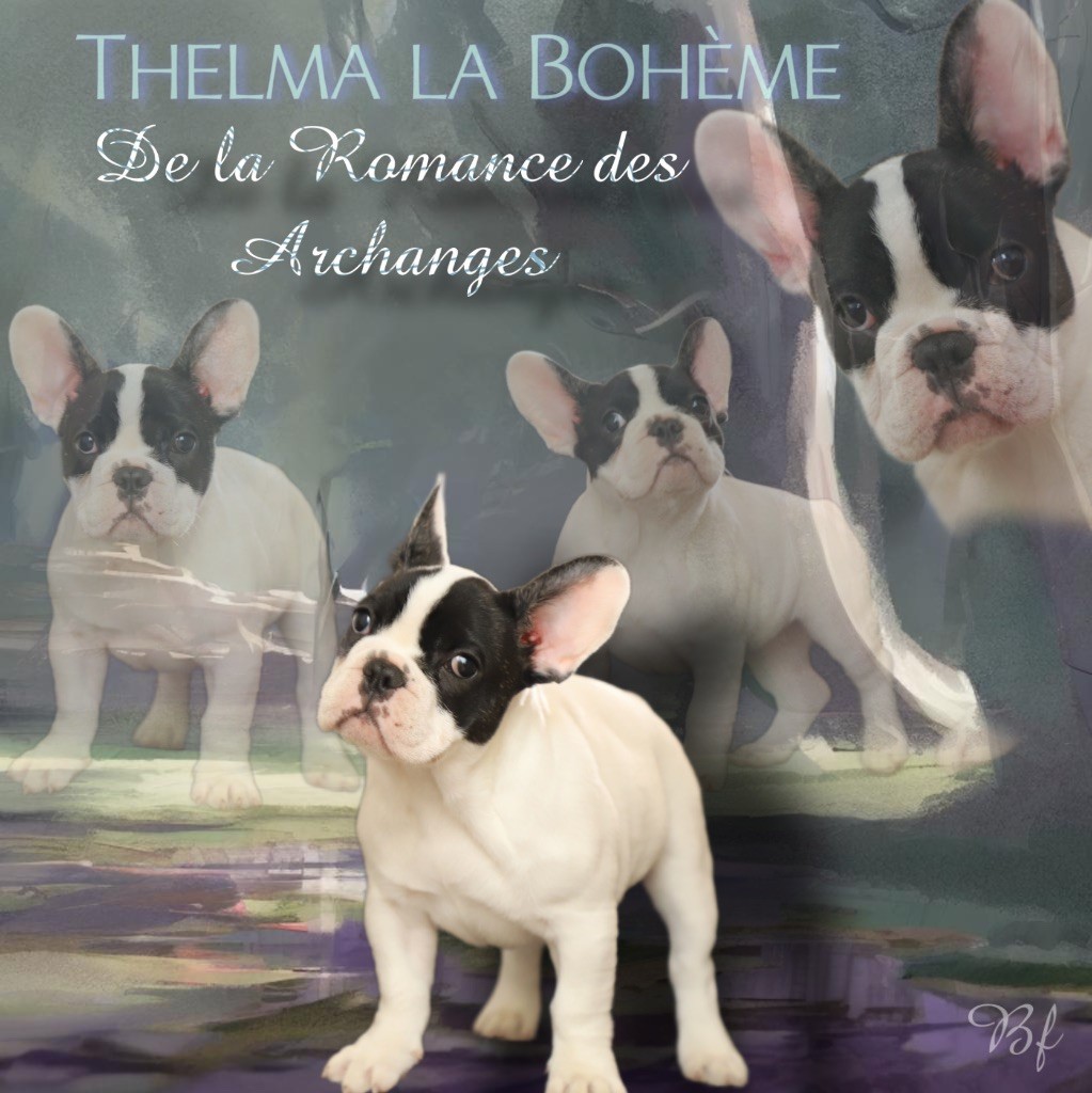 Thelma De La Romance Des Archanges