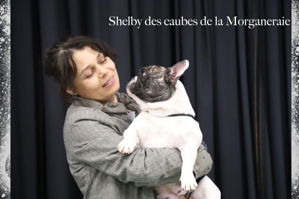 Shelby des Caubes de la Morganeraie