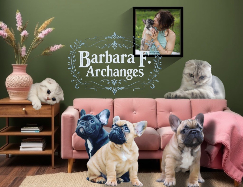 Passionnée par le Bouledogue & le British 